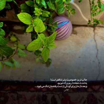 دانلود آهنگ ببین تمام من شدی دانلود آهنگ ببین تمام من شدی