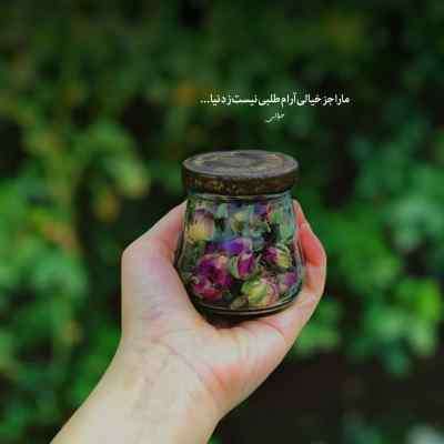 دانلود آهنگ عربی شکو ماکو دانلود آهنگ عربی شکو ماکو