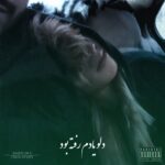 دانلود آهنگ دلو یادم رفته بود