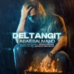 دانلود آهنگ عباس بلیوند دل تنگیت