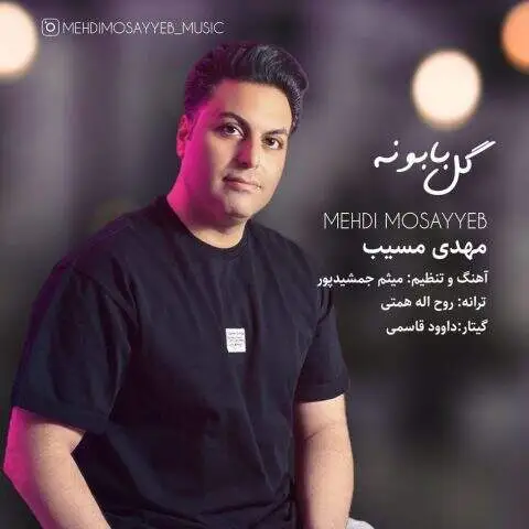 دانلود آهنگ مهدی مسیب گل بابونه