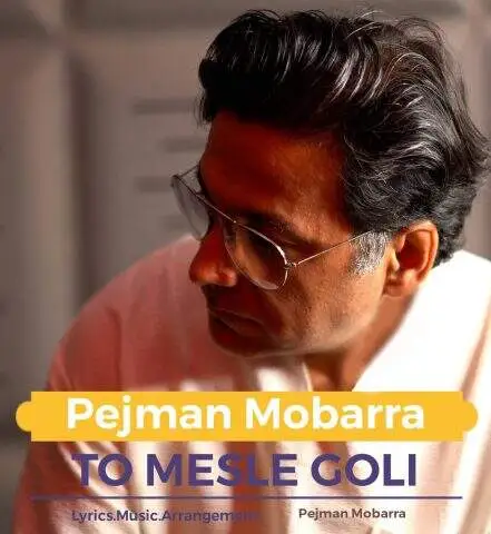 دانلود آهنگ پژمان مبرا تو مثل گلی