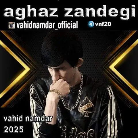 دانلود آهنگ وحید نامدار آغاز زندگی
