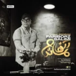 دانلود آهنگ فریبرز سلیمى تنها ماندم