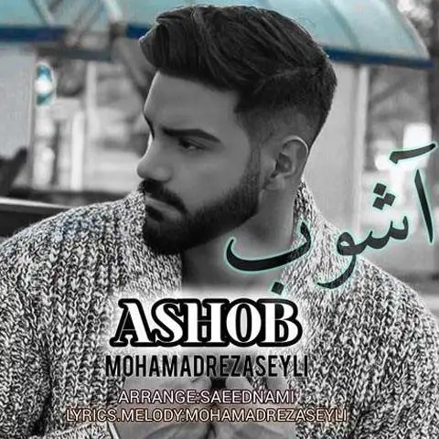 دانلود آهنگ محمدرضا سیلی آشوب