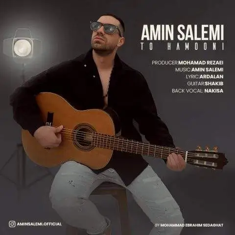 دانلود آهنگ امین سالمی تو همونی