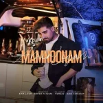 دانلود آهنگ امیر لیام ممنونم