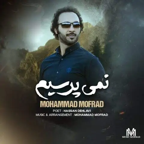 دانلود آهنگ محمد مفرد نمی پرسیم