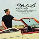 دانلود آهنگ امیر عابدینی دوتا قلب