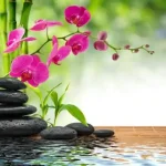 دانلود آهنگ هایده و حمیرا وظیفته (هوش مصنوعی)