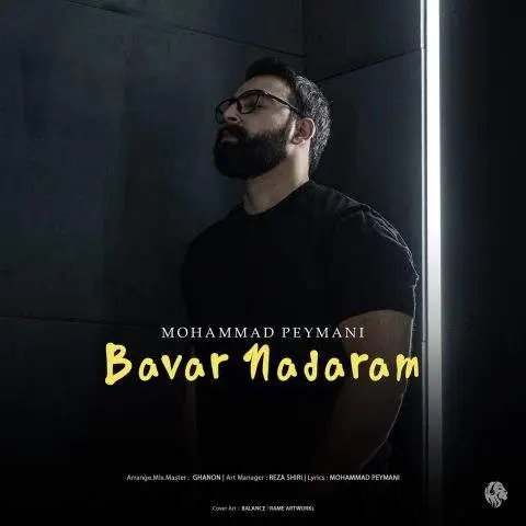 دانلود آهنگ محمد پیمانی باور ندارم