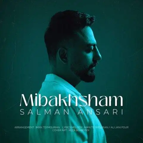 دانلود آهنگ سلمان انصاری میبخشم