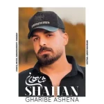 دانلود آهنگ شاهان غریب آشنا