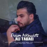 دانلود آهنگ علی طبایی دلم میخوادتا