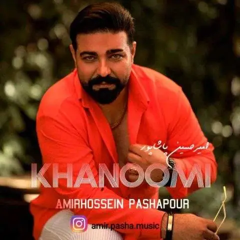 دانلود آهنگ امیرحسین پاشاپور خانومی