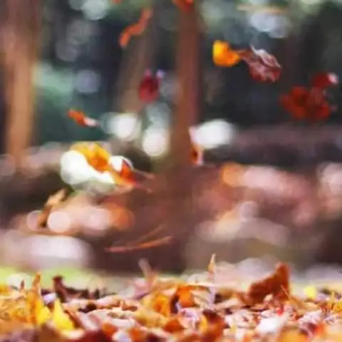 دانلود آهنگ هایده و محسن چاوشی خبر نداری (هوش مصنوعی)