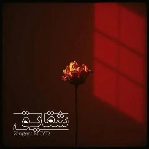 دانلود آهنگ ام جی شقایق