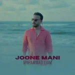 دانلود آهنگ محمد لیام جون منی