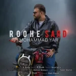 دانلود آهنگ محمد یار روح سرد