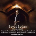 دانلود آهنگ مرتضی صادقی باید بدانی