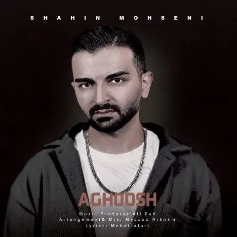 دانلود آهنگ شاهین محسنی آغوش