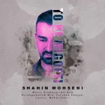 دانلود آهنگ شاهین محسنی تو که می گفتی