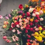 دانلود آهنگ مهستی و سهیل مهرزادگان گل سنگم (هوش مصنوعی) دانلود آهنگ مهستی و سهیل مهرزادگان گل سنگم (هوش مصنوعی)