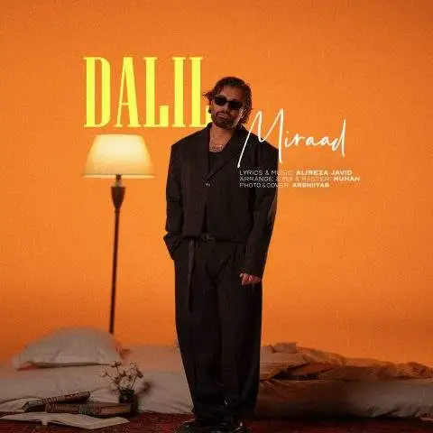 دانلود آهنگ میراد دلیل