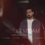 دانلود آهنگ محمدرضا شوندی هولت میدم