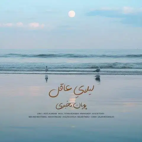 دانلود آهنگ پویان مخبری لیلای عاقل