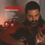 دانلود آهنگ کاوه زمانی شب طولانی