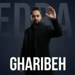 دانلود آهنگ پدرام خسروی غریبه