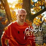 دانلود آهنگ پیوند تا زنده ام